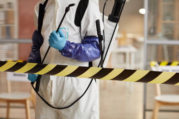 Professional Sewage Cleanup technician working in Shubert, NE